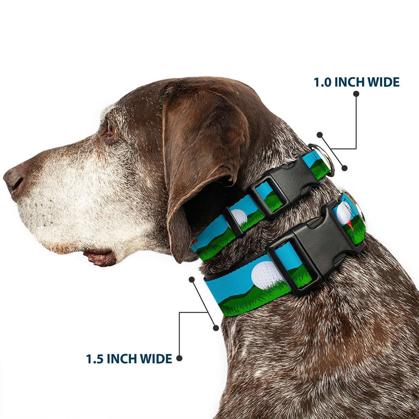 The Tee Time Dog Collar
