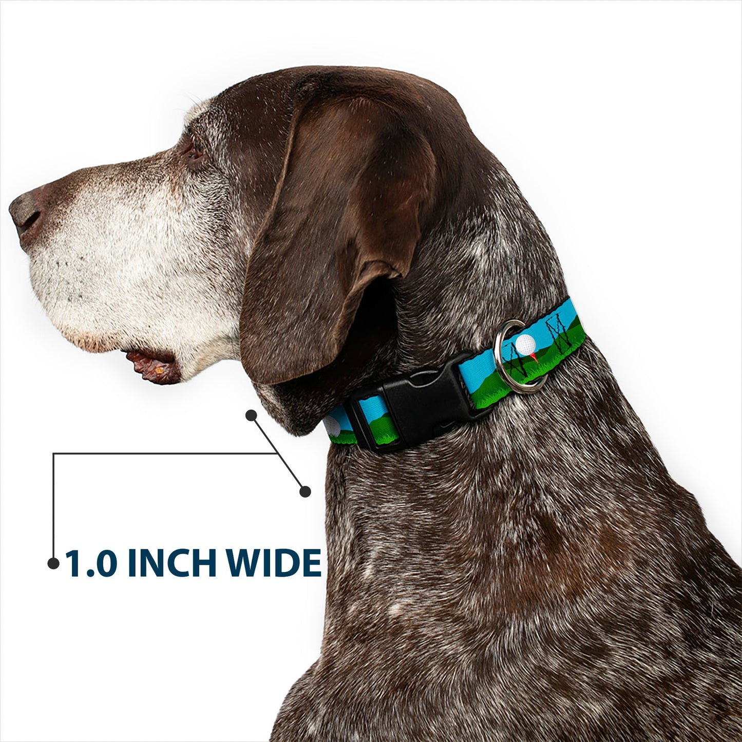 The Tee Time Dog Collar