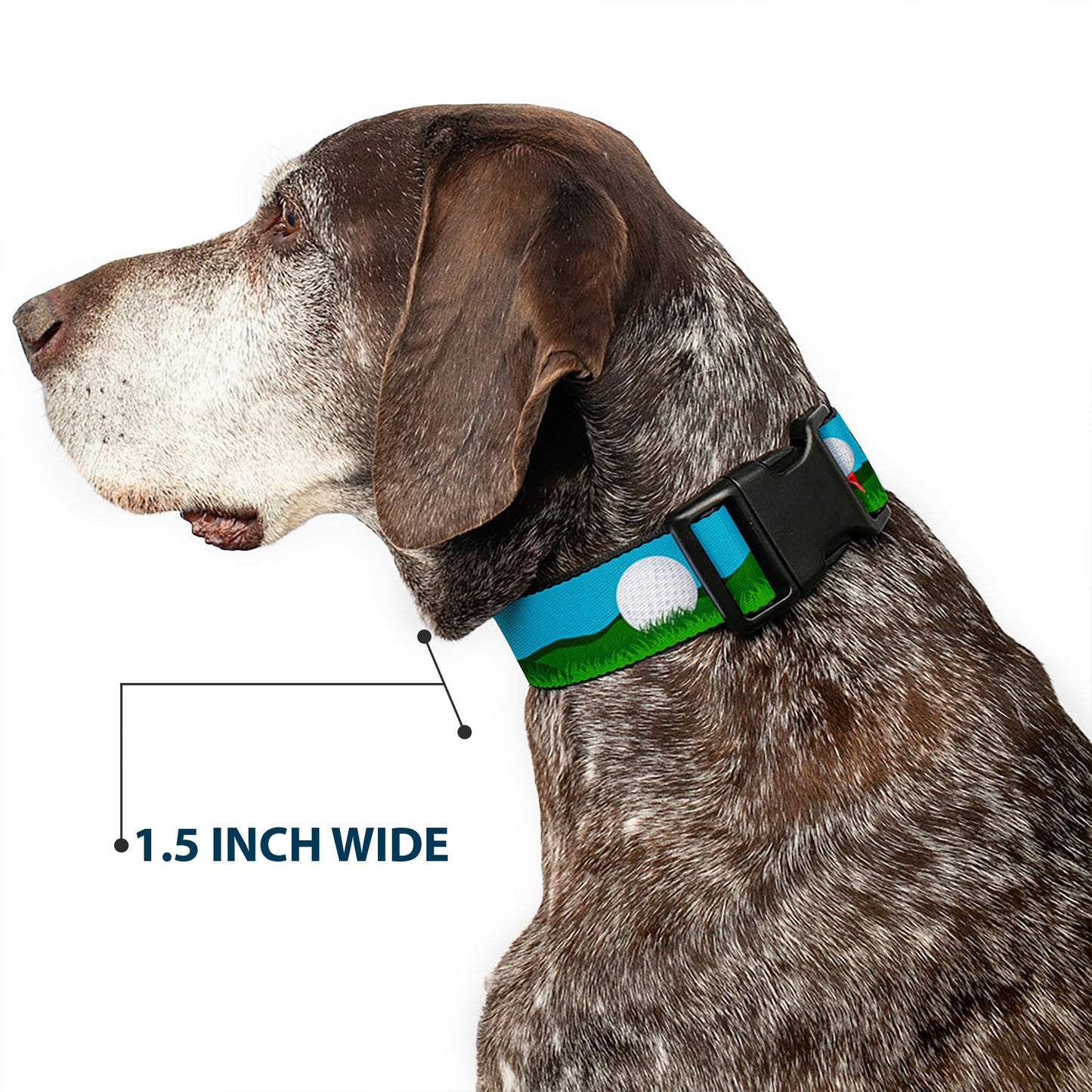 The Tee Time Dog Collar