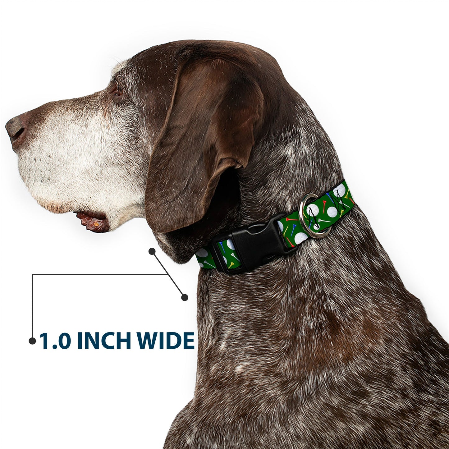 The Fairway Dog Collar